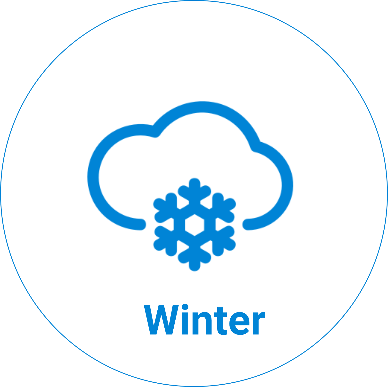 1 Winter